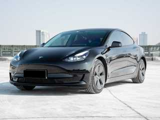 MODEL 3 后轮驱动版 