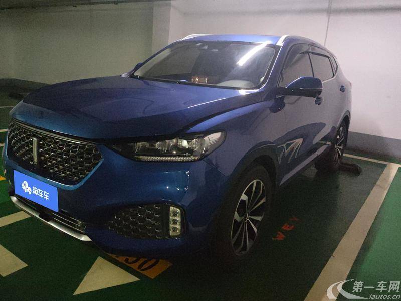 魏牌VV6 2020款 2.0T 自动 智驭+ (国Ⅵ) 