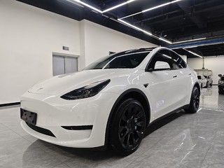 特斯拉MODEL Y 0.0T 