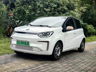 江淮花仙子 0.0T 