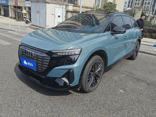 奥迪Q5 e-tron 0.0T 