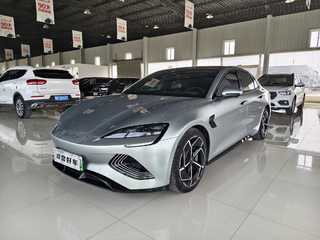 比亚迪海豹 0.0T 