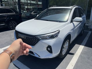 哈弗哈弗M6 1.5T 自动 PLUS豪华智联型 