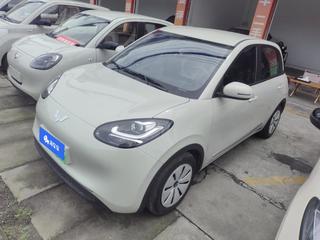 五菱缤果 0.0T 自动 203km轻享款 