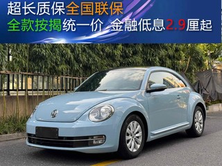 甲壳虫掀背 1.4T 时尚型 