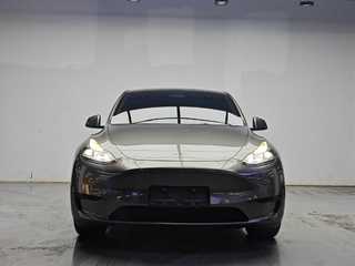 特斯拉MODEL Y 0.0T 
