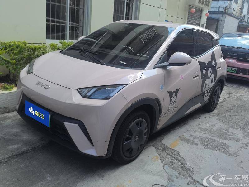 比亚迪海鸥 荣耀版 2024款 0.0T 自动 305km活力版 