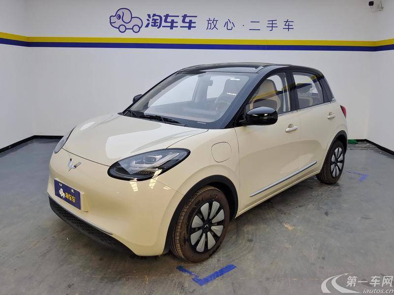 五菱缤果 2024款 0.0T 自动 333km灵犀互联款 