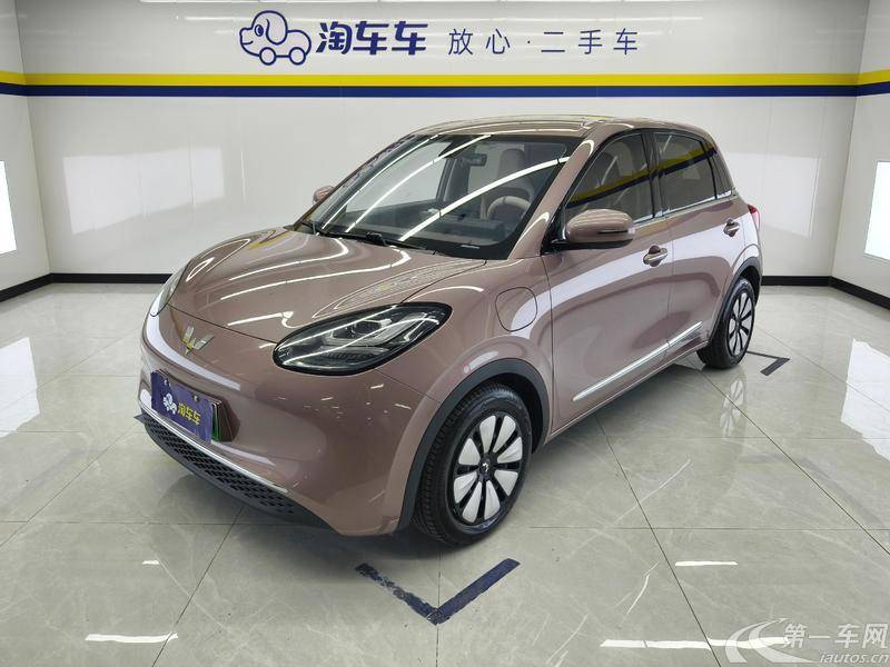 五菱缤果 2023款 0.0T 自动 333km悦享款 