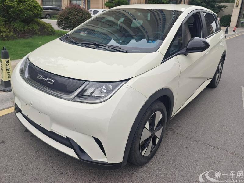 比亚迪海豚 2023款 0.0T 自动 自由版 