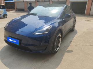特斯拉MODEL Y 0.0T 