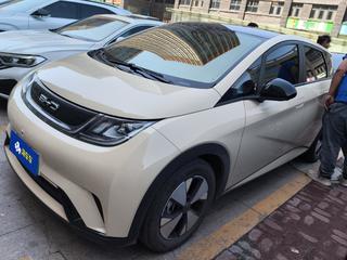 比亚迪海豚 0.0T 