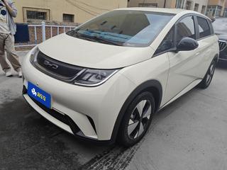 比亚迪海豚 0.0T 