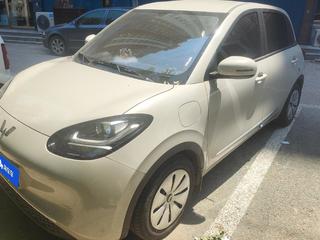 五菱缤果 0.0T 自动 333km悦享款 