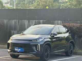 星途凌云 1.6T 自动 290T星耀版 