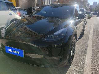 特斯拉MODEL Y 0.0T 