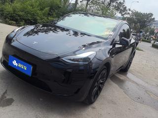 特斯拉MODEL Y 0.0T 