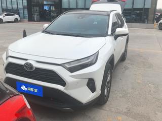 RAV4 2.0L 20周年铂金纪念版 