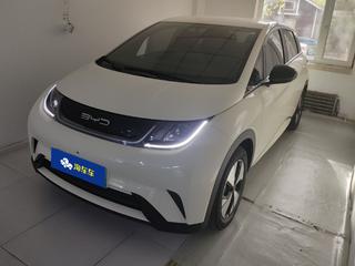 比亚迪海豚 0.0T 