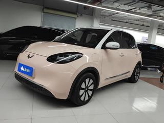 五菱缤果 0.0T 