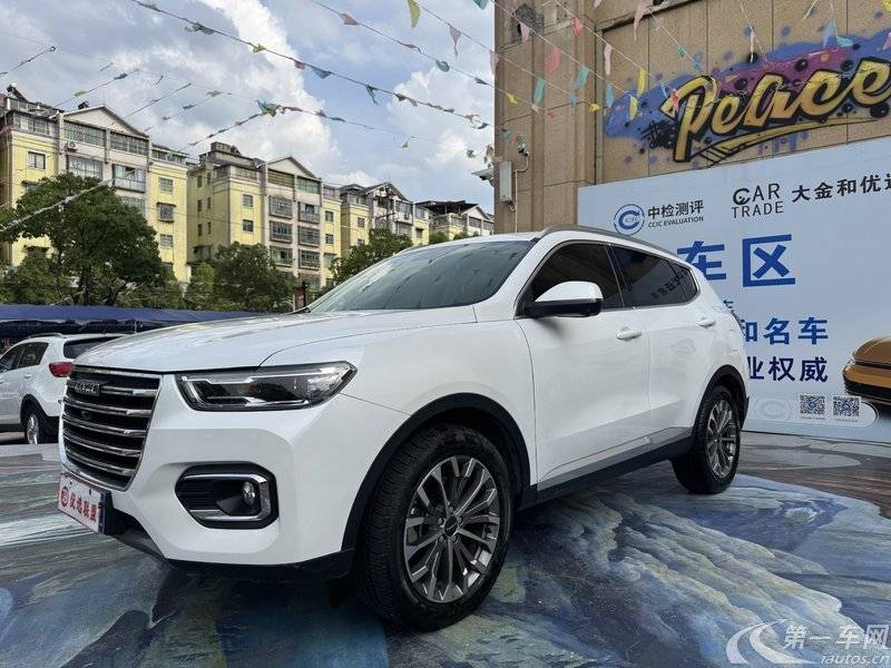 哈弗哈弗H6 2020款 1.5T 自动 前驱 铂金冠军版 (国Ⅵ) 