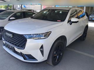 哈弗H6 2.0T Max版 