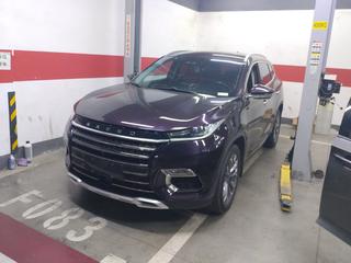 凌云 1.6T 前驱 290T星享版 