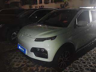 大运悦虎 0.0T 自动 改款贵宾版30.66kWh 