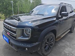 哈弗哈弗大狗 1.5T 自动 边牧版 