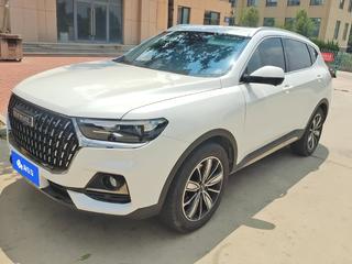 哈弗哈弗H6 国潮版 1.5T 自动 冠军版 