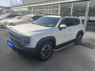 哈弗哈弗大狗 2.0T 自动 中华田园犬版 