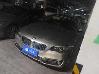 5系 525Li 2.0T 自动 豪华设计套装 