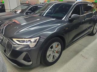 奥迪e-tron 0.0T 
