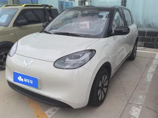 缤果 333km悦享款 