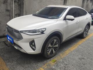 哈弗F7x 2.0T 极智潮玩版 