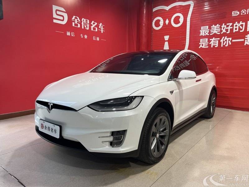 特斯拉MODEL X [进口] 2017款 自动 100D长续航版 纯电动 