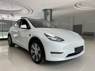 特斯拉MODEL Y 0.0T 自动 长续航版 