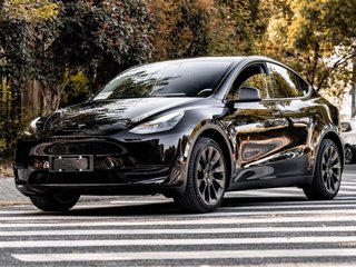 特斯拉MODEL Y 0.0T 自动 后驱版 