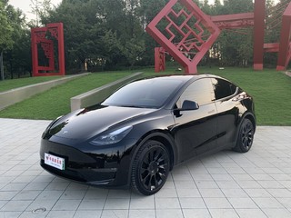 特斯拉MODEL Y 0.0T 自动 长续航版 