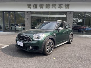 迷你Countryman S 2.0T 自动 ALL4艺术家 