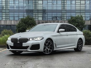 宝马5系 530Li 2.0T 自动 尊享型M运动套装 