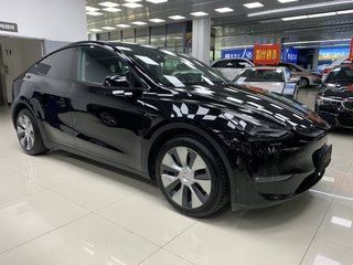 特斯拉MODEL Y 0.0T 