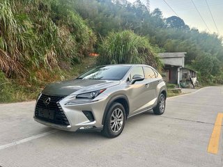 雷克萨斯NX 2.0T 