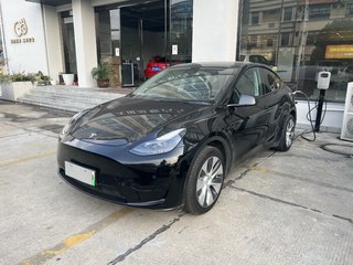 特斯拉MODEL Y 0.0T 自动 后驱版 