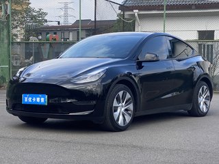 特斯拉MODEL Y 0.0T 自动 标准续航版 