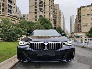 宝马5系 530i 2.0T 自动 M运动套装 