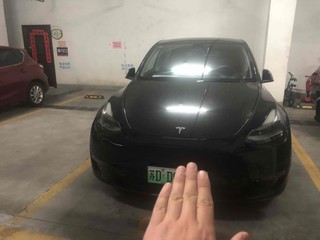 特斯拉MODEL Y 0.0T 自动 标准续航版 