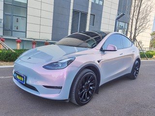 特斯拉MODEL Y 0.0T 自动 长续航版 