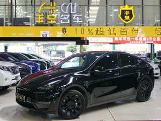 特斯拉MODEL Y 0.0T 自动 长续航版 