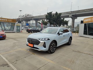 魏牌摩卡 2.0T 自动 特醇版 